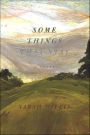 Some Things That Stay: A Novel