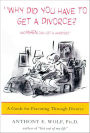 Why Did You Have to Get a Divorce? And When Can I Get a Hamster?: A Guide for Parenting Through Divorce