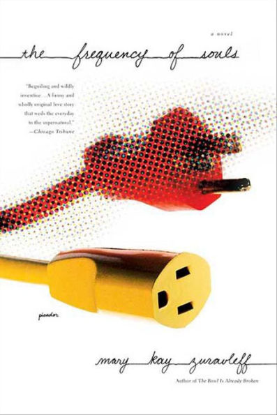 The Frequency of Souls: A Novel