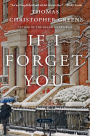 If I Forget You: A Novel