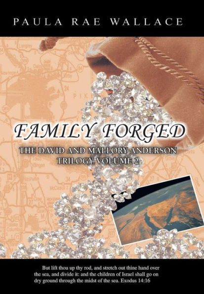 Family Forged: The David and Mallory Anderson Trilogy Volume 2