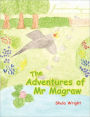 The Adventures Of Mr Magraw