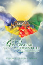 God Promises Me Abundant Life: How Did I Miss My Blessing?