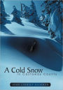 A Cold Snow In Castaway County