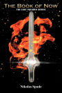 The Book of Now: The Last Paladin Series
