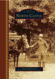 Title: North Castle, Author: Sharon Tomback