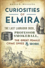 Curiosities of Elmira: The Last Labrador Duck, Professor Smokeball, the Great Female Crime Spree & More