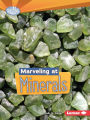 Marveling at Minerals (Do You Dig Earth Science? Series)