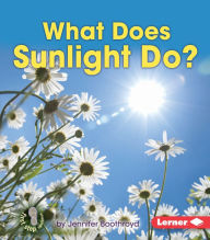 Title: What Does Sunlight Do?, Author: Jennifer Boothroyd