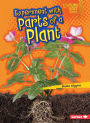 Experiment with Parts of a Plant