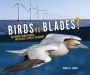 Birds Vs. Blades: Offshore Wind Power and the Race to Protect Seabirds