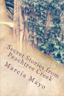 Secret Stories from Peachtree Creek: Georgia History (with a mysterious twist!)
