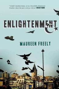 Title: Enlightenment: A Novel, Author: Maureen Freely