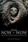 From Now to Wow: A Blueprint for Becoming Your Best Self
