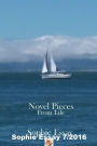 Novel Pieces: From Life