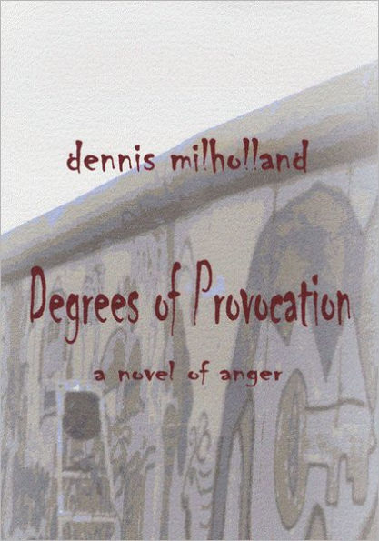 Degrees of Provocation: a novel of anger