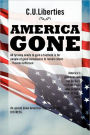 AMERICA GONE
