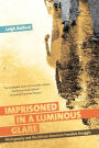 Imprisoned in a Luminous Glare: Photography and the African American Freedom Struggle