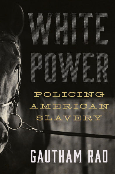 White Power: Policing American Slavery