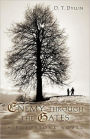 Enemy through the Gates: A P. J. Stone Novel-Book 1