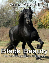 Black Beauty: The Autobiography of a Horse