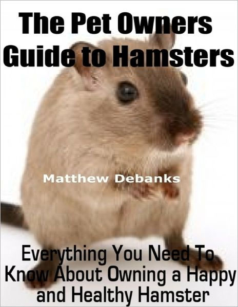 everything you need for a hamster