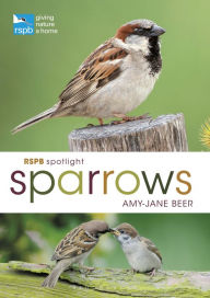 Title: RSPB Spotlight Sparrows, Author: Amy-Jane Beer