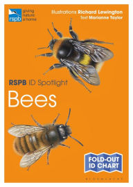 Title: RSPB ID Spotlight - Bees, Author: Marianne Taylor