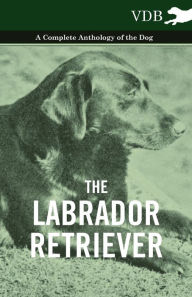 Title: The Labrador Retriever - A Complete Anthology of the Dog, Author: Various
