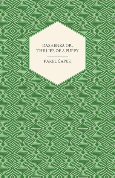Dashenka Or, The Life of a Puppy