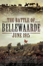 The Battle of Bellewaarde, June 1915