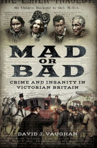 Title: Mad or Bad: Crime and Insanity in Victorian Britain, Author: David J. Vaughan