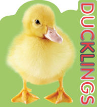Title: Ducklings, Author: Parragon