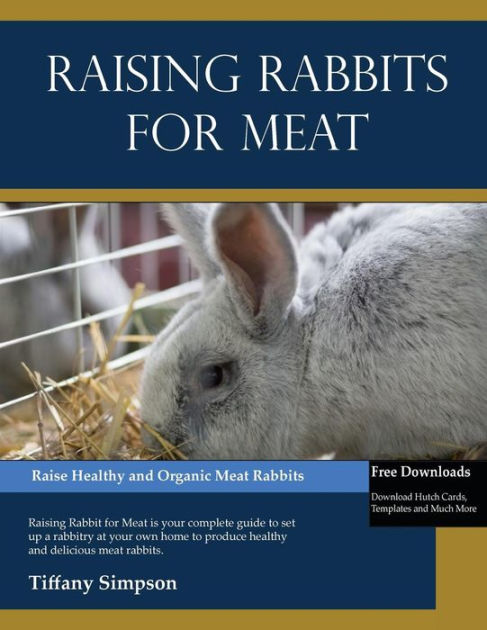 Growing rabbits cheap for meat