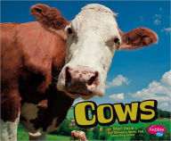 Cows