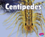 Centipedes