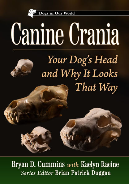 Canine Crania: Your Dog's Head and Why It Looks That Way