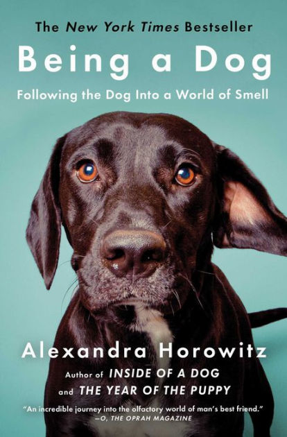 alexandra horowitz how do dogs see with their noses