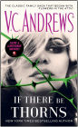 If There Be Thorns (Dollanganger Series #3)
