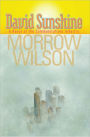 David Sunshine: A Novel of the Communications Industry