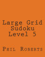 Large Grid Sudoku Level 5: Medium to Moderate Sudoku Puzzles