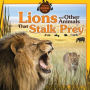 Lions and Other Animals That Stalk Prey