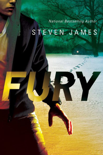 Fury (Blur Trilogy #2)