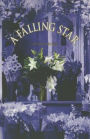 A Falling Star