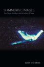 Shimmering Images: Trans Cinema, Embodiment, and the Aesthetics of Change
