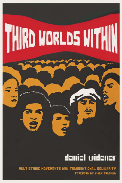 Third Worlds Within: Multiethnic Movements and Transnational Solidarity