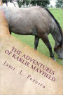 The Adventures of Karlie Mayfield: In the Beginning