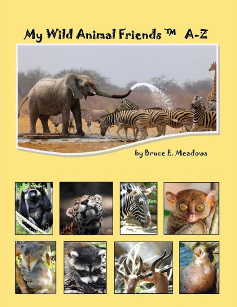 My Wild Animal Friends A-Z by Bruce E Meadows, Paperback | Barnes & Noble®