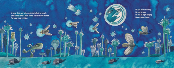 Why the Turtle Walks So Slowly