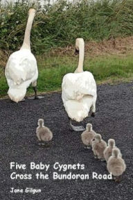 Title: Five Baby Cygnets Cross the Bundoran Road, Author: Jane Gilgun